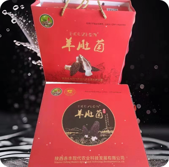 陕西赤丰农业礼品盒装厚珍羊肚菌100G