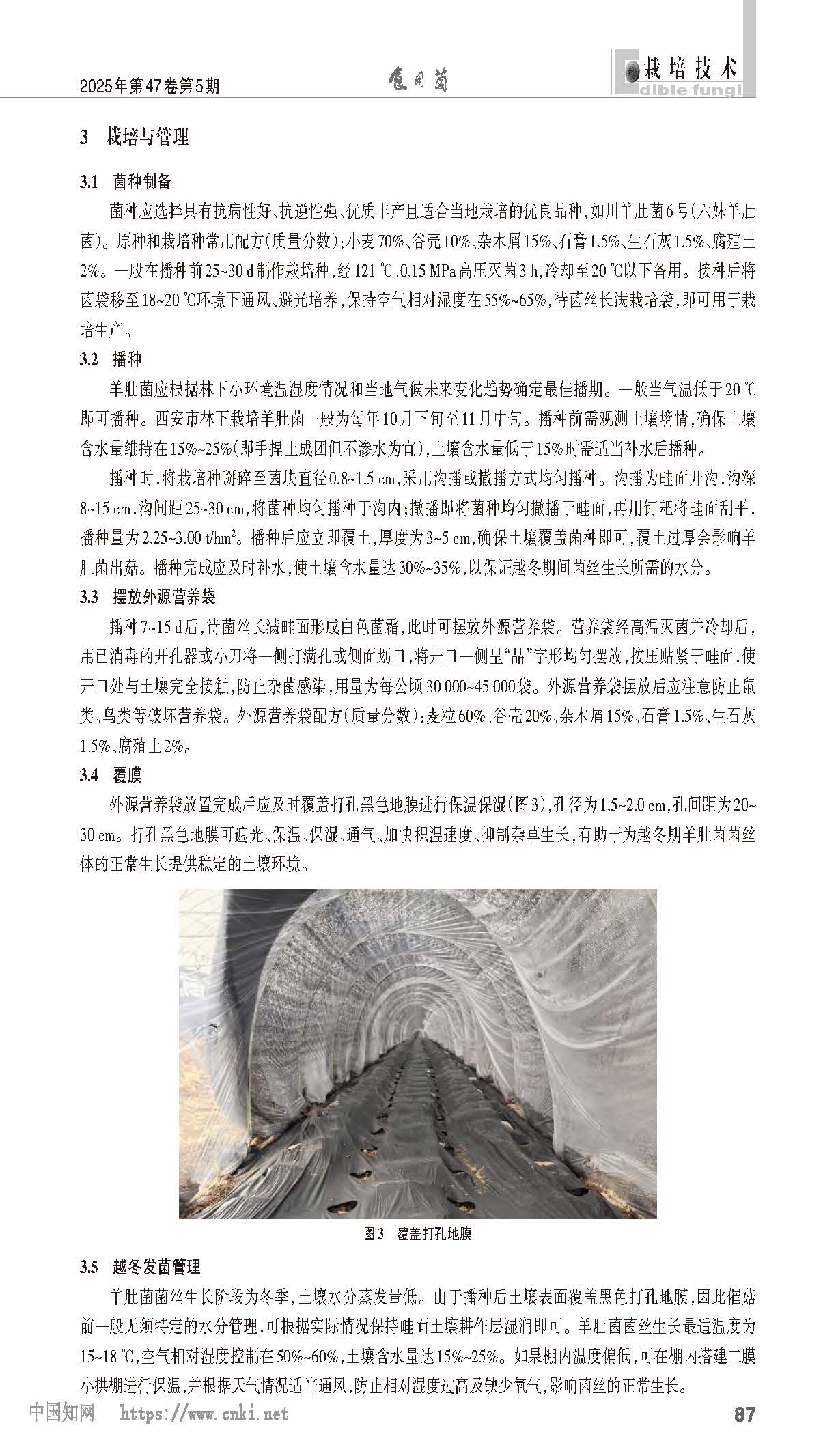 西安市林下羊肚菌栽培技术-吕飞_页面_3.jpg