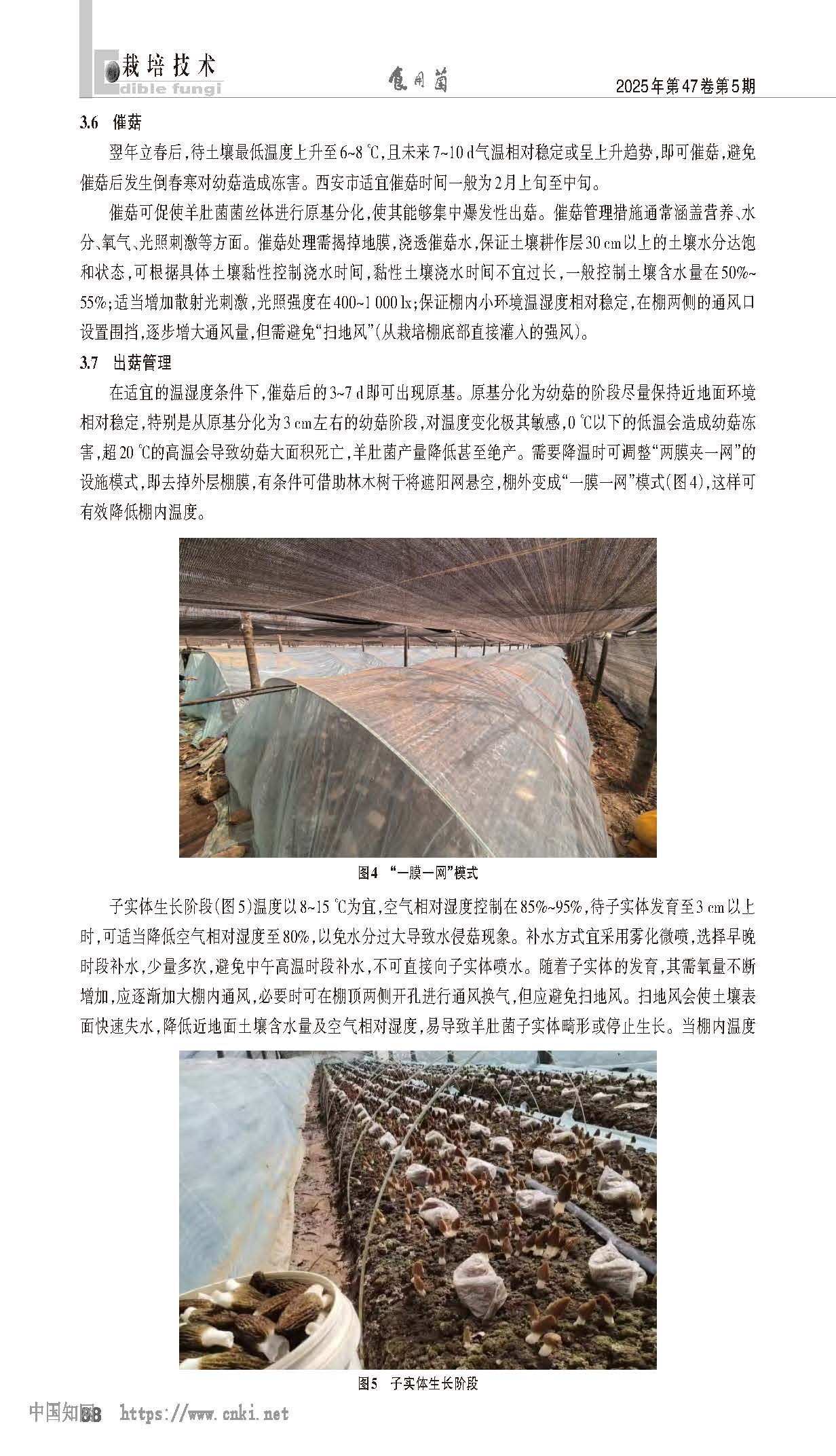 西安市林下羊肚菌栽培技术-吕飞_页面_4.jpg