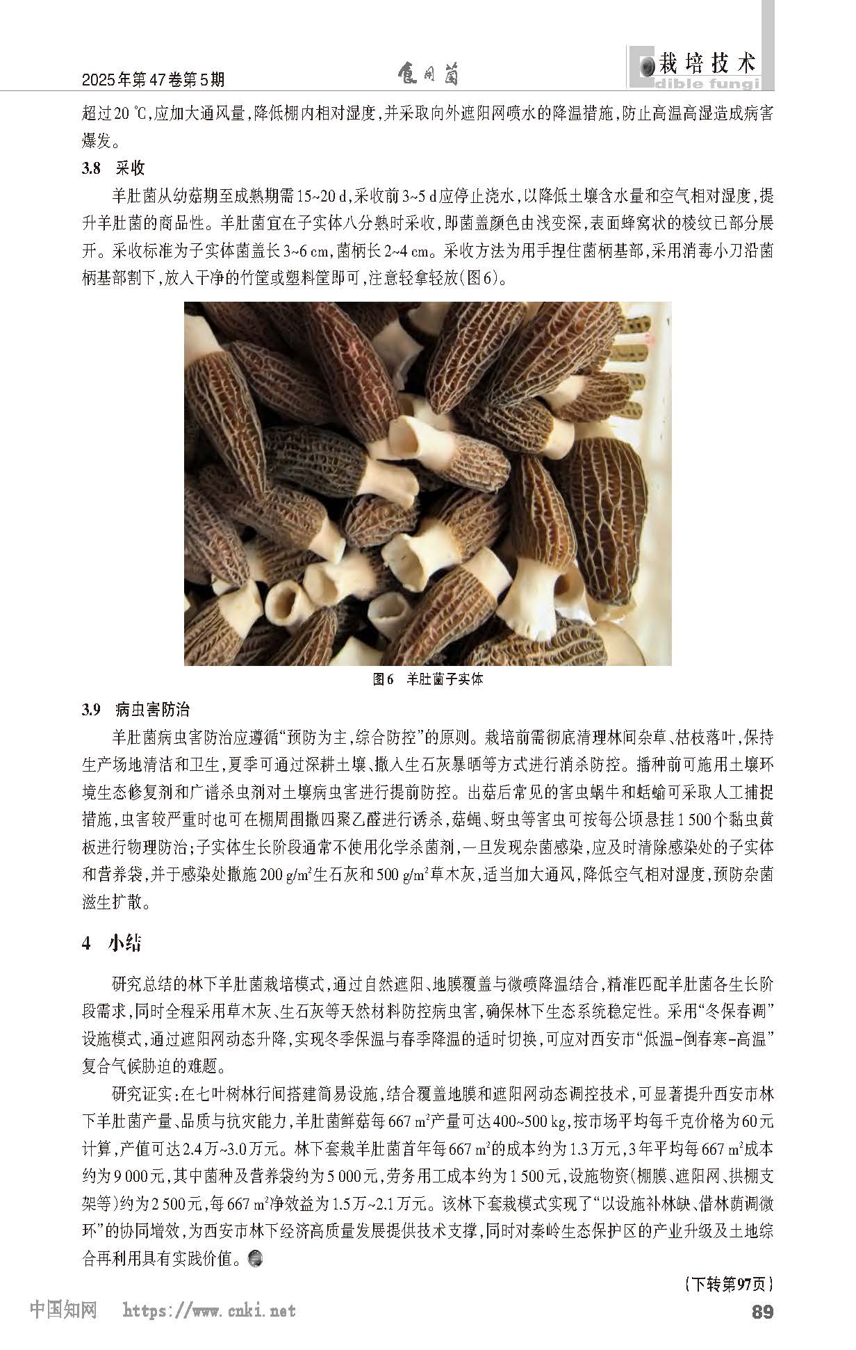 西安市林下羊肚菌栽培技术-吕飞_页面_5.jpg